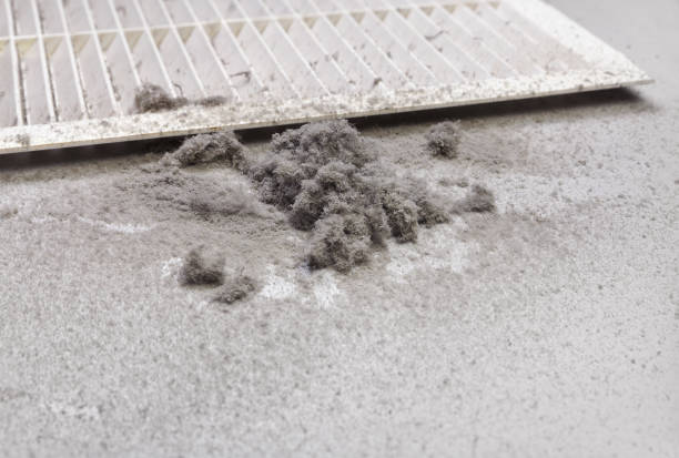 Best Air Duct Cleaning Company Near Me  in Butte, MT