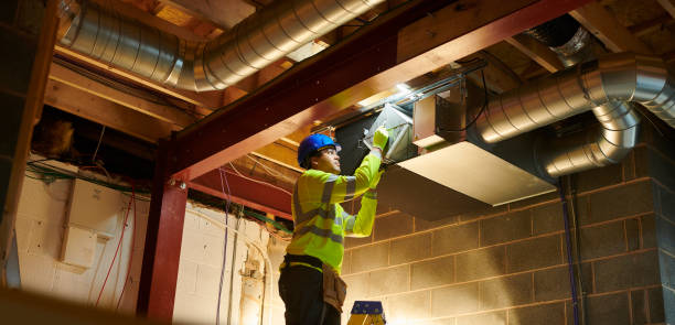 Air Duct Mold Removal in MT